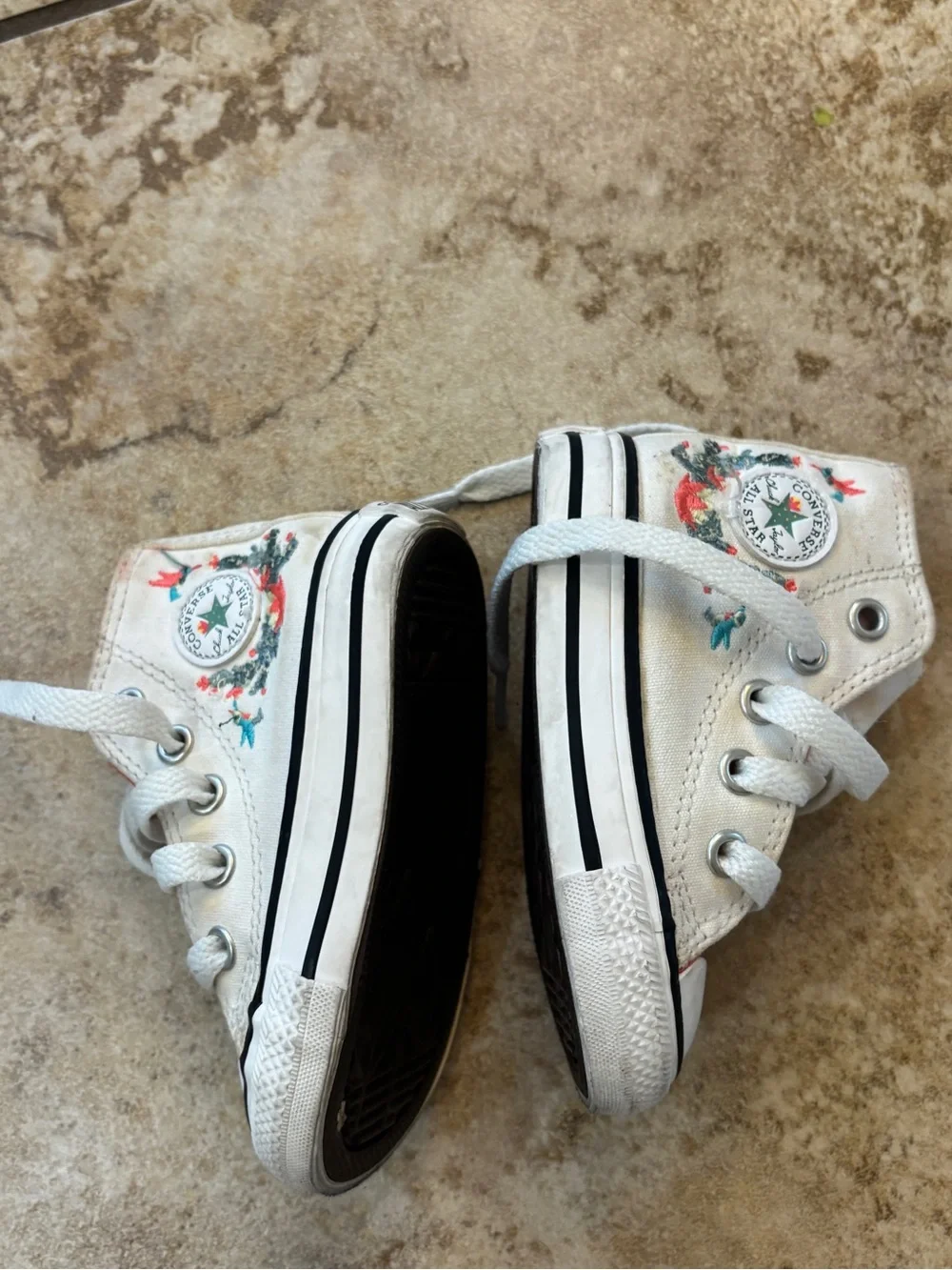 Converse Chuck Taylor All Star Hi Succulents Sneaker Vintage White
